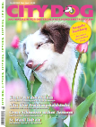 City Dog Magazin